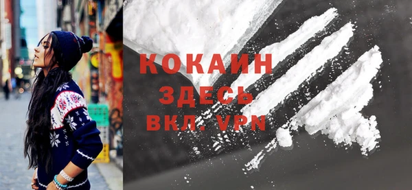 сатива Карталы