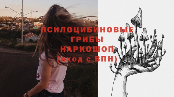 прущий лед Карпинск