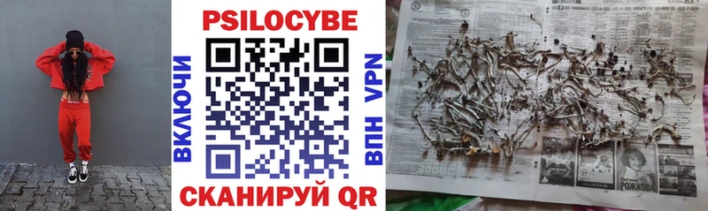 MEGA онион Сургут Галлюциногенные грибы Psilocybine cubensis