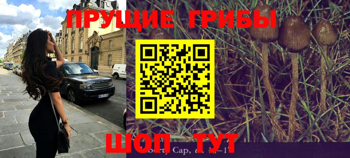 Галлюциногенные грибы прущие грибы Сургут