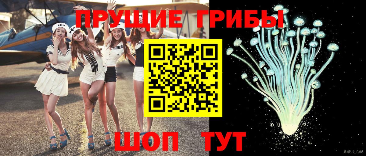 Псилоцибиновые грибы GOLDEN TEACHER Сургут