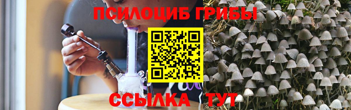 Сургут  купить закладку  Галлюциногенные грибы прущие грибы  Вход с VPN  Псилоцибиновые грибы MAGIC MUSHROOMS 